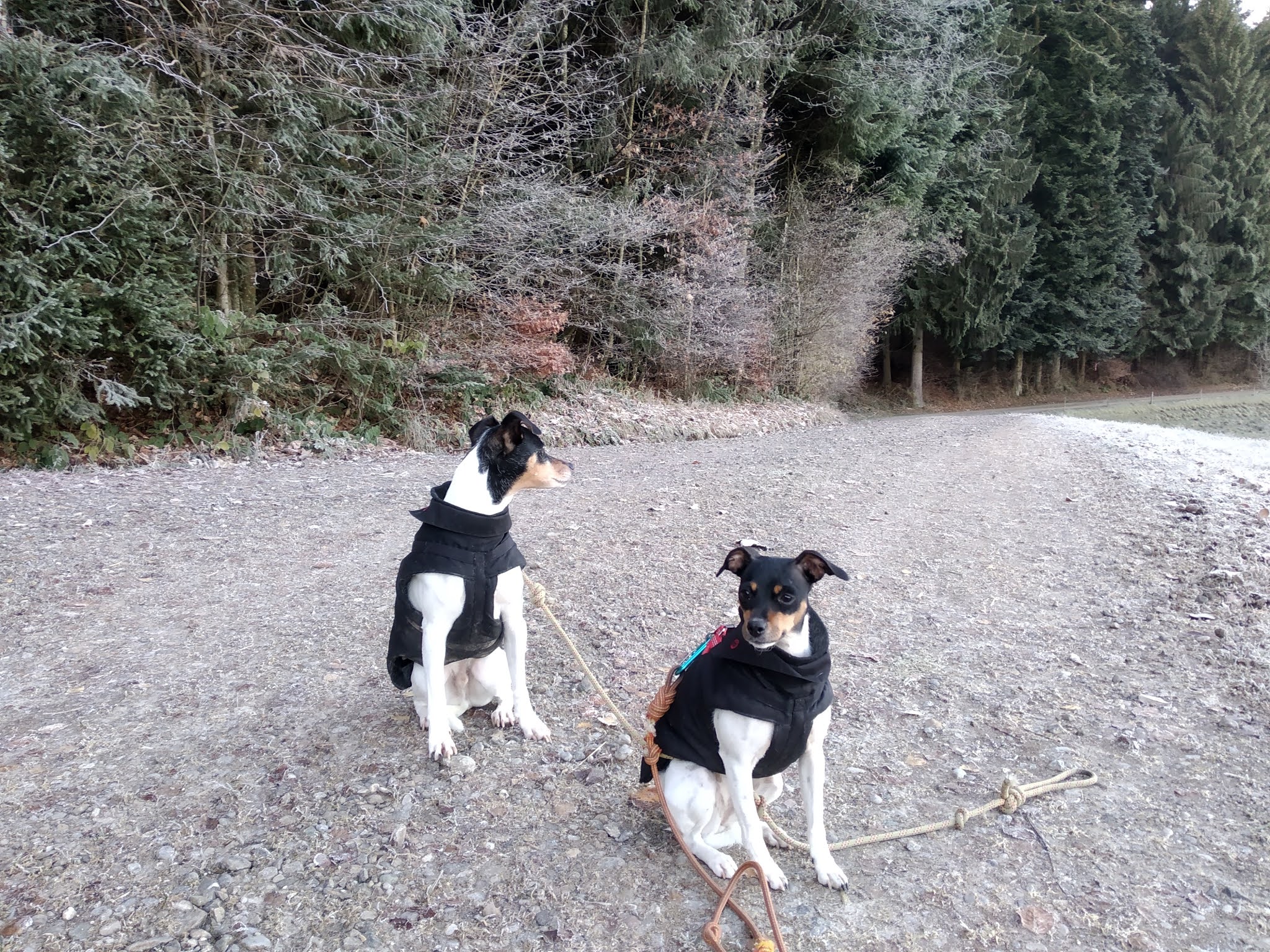 Photo n° 1 de l'avis de Susanne.r fait le 25/11/2020 à 12:58