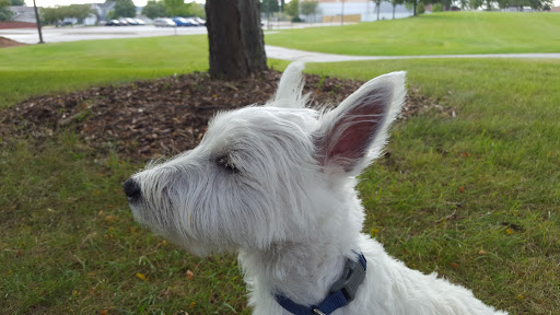 Park «Hoosier Grove Park», reviews and photos, 700 W Irving Park Rd, Streamwood, IL 60107, USA