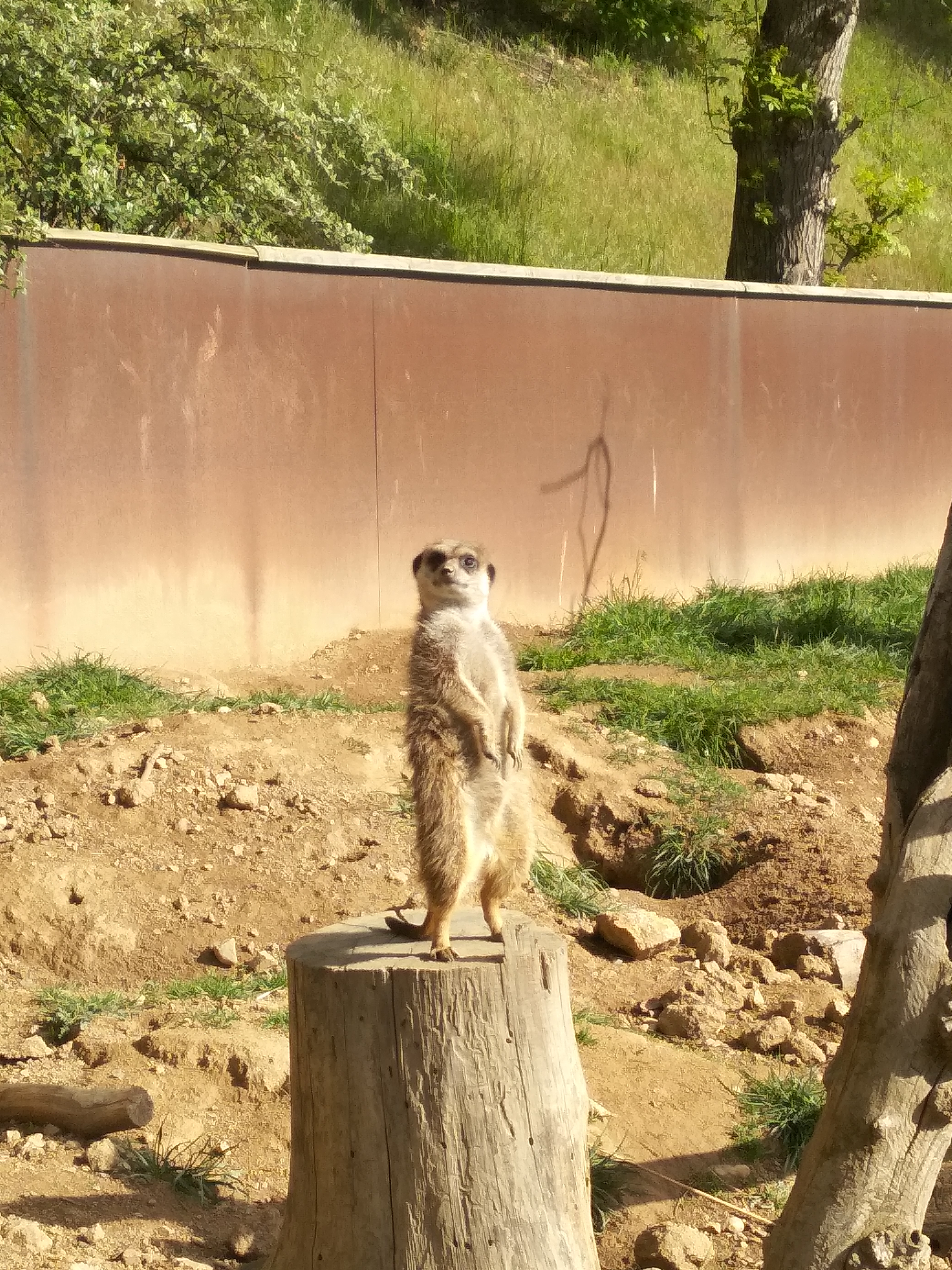Photo n° 4 de l'avis de Guillaume.O fait le 23/05/2021 à 13:52
