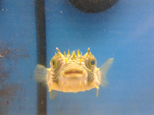 Pet Supply Store «Petco Animal Supplies», reviews and photos, 5975 20th St, Vero Beach, FL 32966, USA