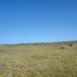 Photo n° 1 de l'avis de Fifi.i fait le 19/05/2023 à 07:50 pour Cromlech de Lacam de la Rigalderie à Blandas