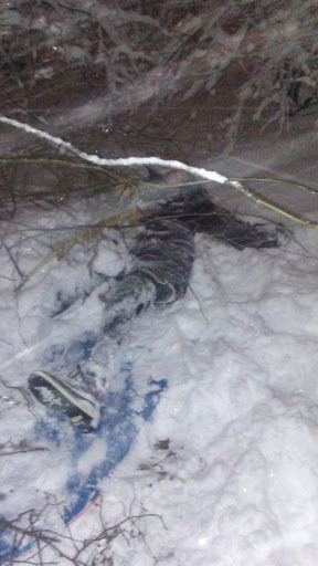 Dog Park «Forest Park Dog Run», reviews and photos, 8445 Park Ln S, Woodhaven, NY 11421, USA