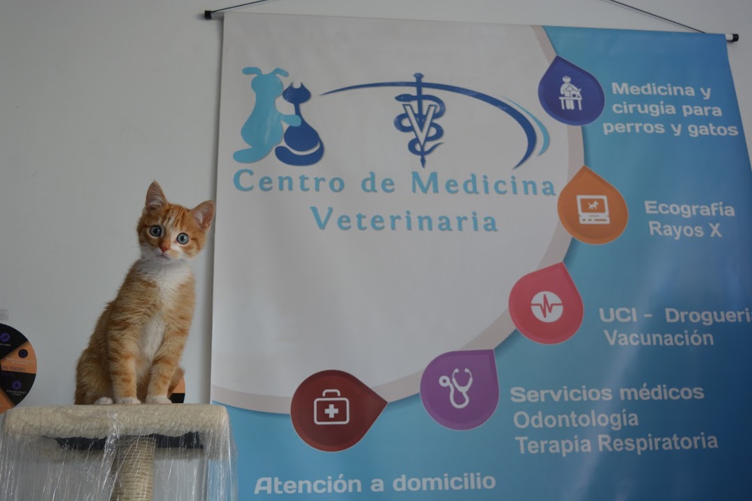 Centro de Medicina Veterinaria