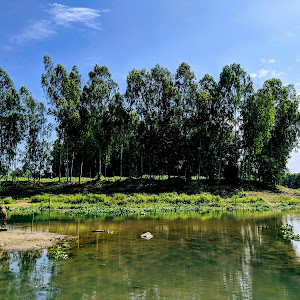 River Port photo