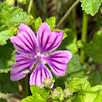 Photo n°3 de l'avis de AC.h fait le 29/05/2023 à 12:44 sur le  Borgo Romantico Relais à Cavaion Veronese