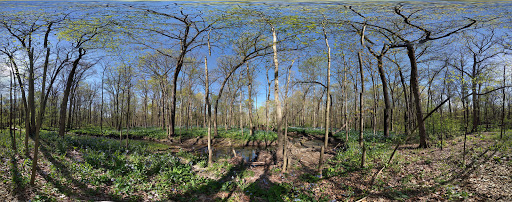 Golf Course «Woodruff Golf Course», reviews and photos, 621 Gougar Rd, Joliet, IL 60432, USA