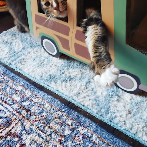 Pet Supply Store «PetSmart», reviews and photos, 6106 Shops Way, Northborough, MA 01532, USA