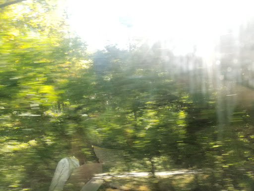 Art Gallery «Brown County Art Gallery», reviews and photos, 1 Artist Dr, Nashville, IN 47448, USA