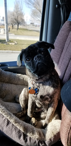 Pet Supply Store «PetSmart», reviews and photos, 3081 S 5600 W, Salt Lake City, UT 84120, USA