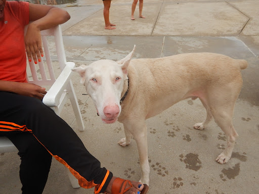 Water Park «NRH2O Family Water Park», reviews and photos, 9001 Boulevard 26, North Richland Hills, TX 76180, USA