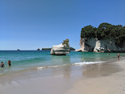 Cathedral Cove Beach'in fotoğrafı çok temiz temizlik seviyesi ile