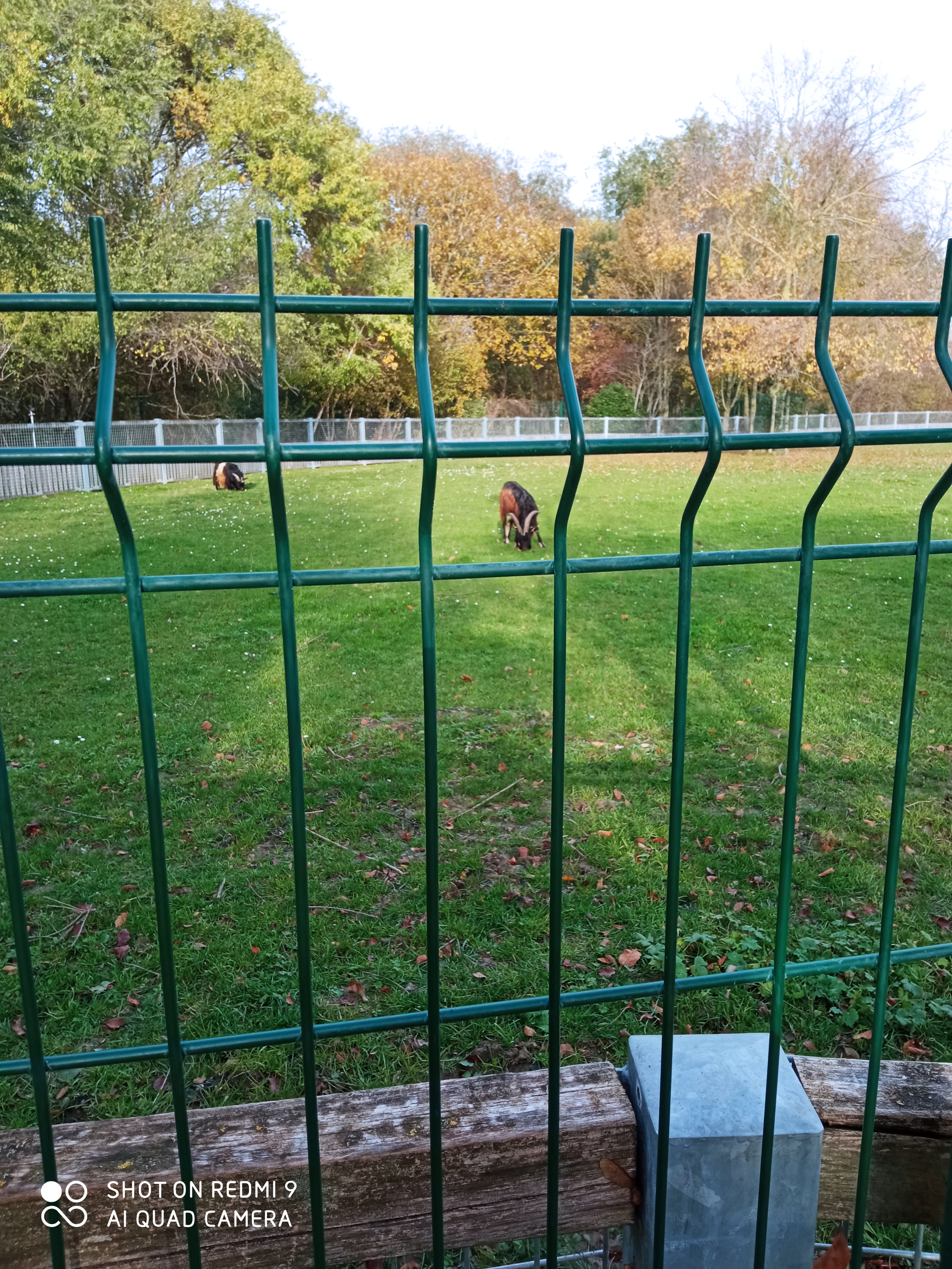 Photo n° 3 de l'avis de reseauoutremer.2 fait le 07/11/2020 à 18:39