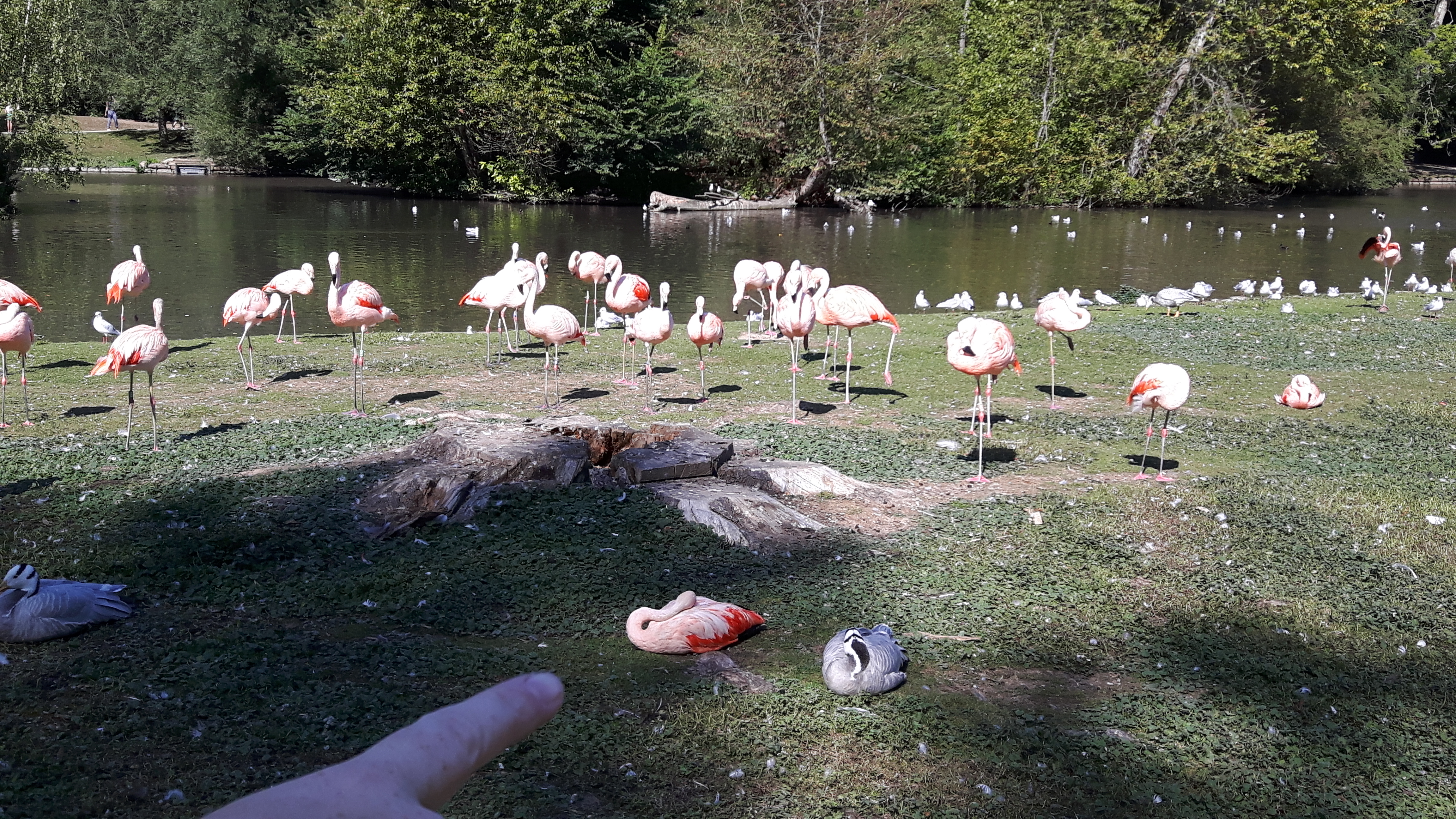 Photo n° 6 de l'avis de jonathan.r fait le 21/09/2019 à 14:34