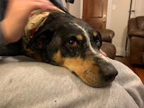 Sittin' Pretty - Photo 8 - Car repair in Funkstown, MD, Hagerstown