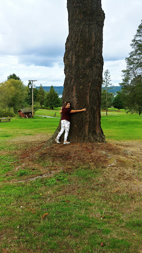 Golf Club «Vashon Island Golf & Country», reviews and photos, 24615 75th Ave SW, Vashon, WA 98070, USA