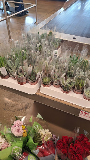 Supermarket «ALDI», reviews and photos, 3707 S Orlando Dr, Sanford, FL 32773, USA