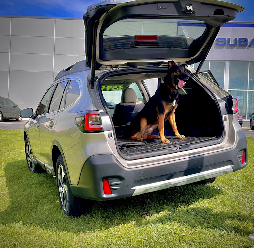 Subaru Dealer «Brilliance Subaru», reviews and photos, 1500 N Randall Rd, Elgin, IL 60123, USA