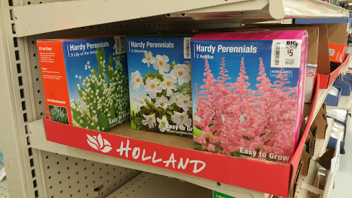 Discount Store «Big Lots», reviews and photos, 32 Malphrus Rd Suite 111, Bluffton, SC 29910, USA