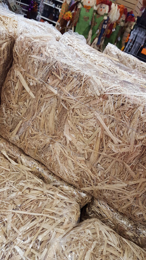 Craft Store «Michaels», reviews and photos, 46301 Potomac Run Plaza, Sterling, VA 20164, USA