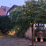 Photo n°2 de l'avis de M. fait le 06/02/2022 à 13:12 sur le  Winzergaststätte „Grafen von der Leyen“ à Burrweiler