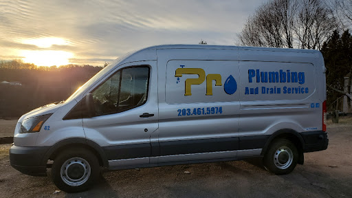 Pro Plumbing and Drain Service