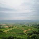 Photo n°2 de l'avis de Dan.r fait le 09/08/2020 à 06:34 sur le  Heubergturm / zum Heuberg à Ettenheim