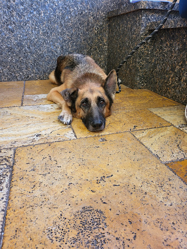 3002 W Gandy Blvd, Tampa, FL 33611, USA