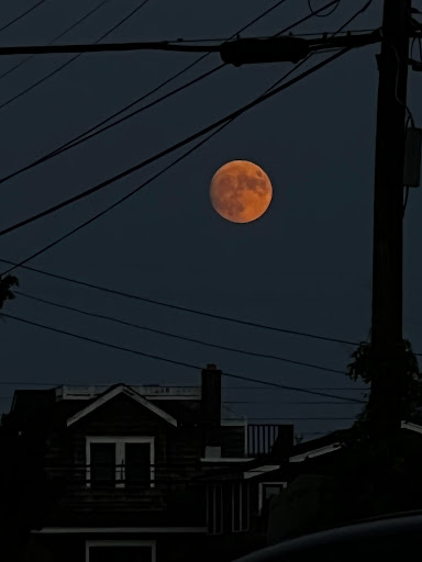 Liquor Store «Barnegat Light Liquor Store», reviews and photos, 608 Broadway, Barnegat Light, NJ 08006, USA