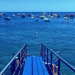 Photo n°1 de l'avis de marco.e fait le 31/07/2020 à 20:42 sur le  Ristorante il Cantuccio Nerano à Marina del Cantone