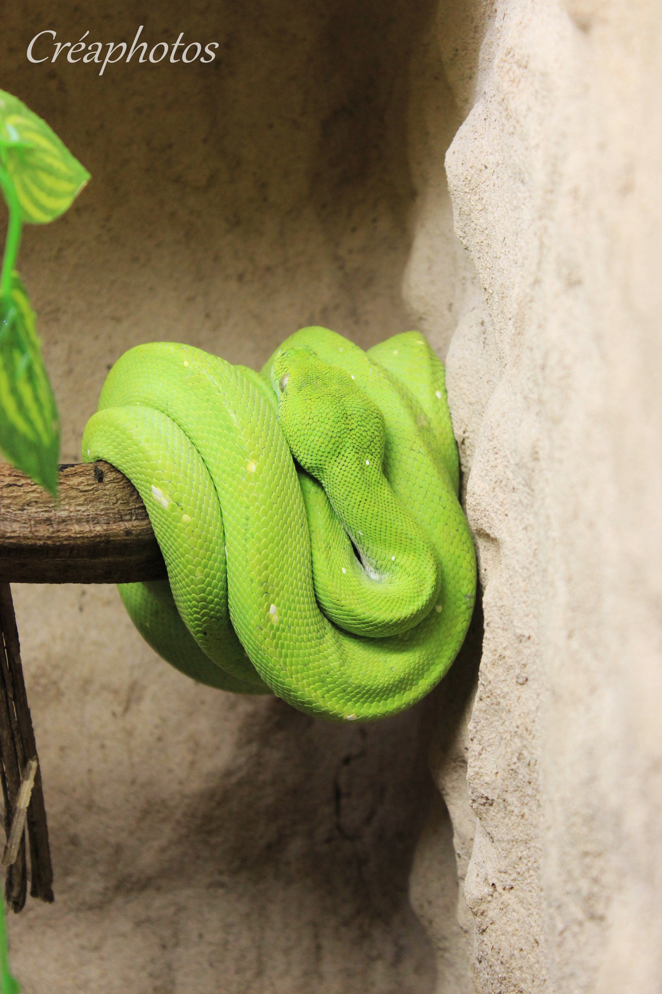 Photo n° 2 de l'avis de Amandine.r fait le 28/06/2021 à 15:42