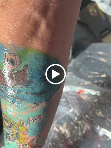 Explore red cardinal tattoo ideas, creative tattoo ideas in Port Aransas, available at Island Ink studio