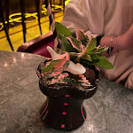 Photo n°5 de l'avis de Merve.u fait le 22/09/2023 à 23:49 sur le  Bellboy Bar Berlin à Berlin