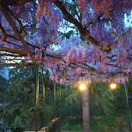 Photo n°1 de l'avis de Ombra.o fait le 21/04/2023 à 15:31 sur le  Casa di Lucia Mondella à Lecco