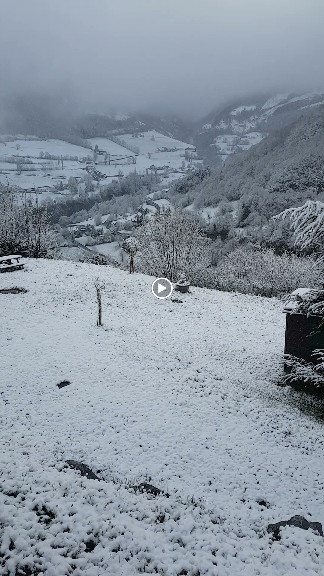 Photo n° 2 de l'avis de X. fait le 02/07/2019 à 19:51