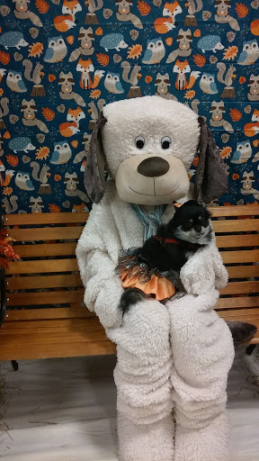 Pet Supply Store «PetSmart», reviews and photos, 351 N Frontage Rd, New London, CT 06320, USA