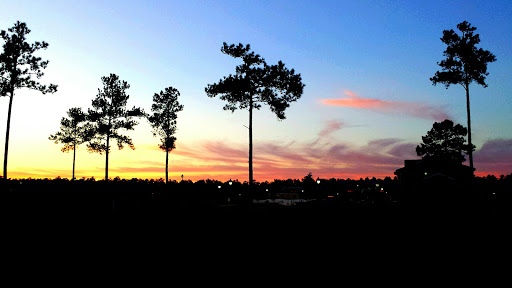 Irish Pub «The Joyce Irish Pub», reviews and photos, 1174 Turlington Ave #101, Leland, NC 28451, USA