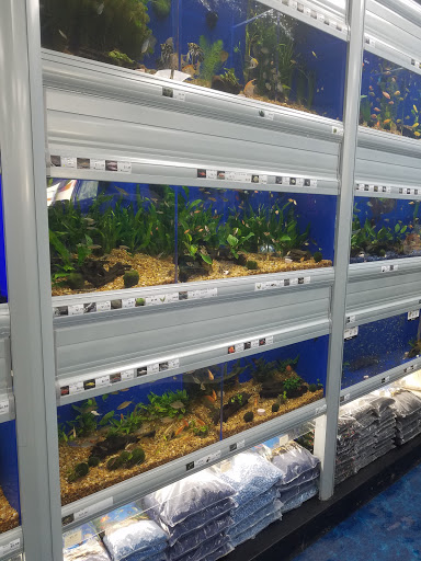 Pet Supply Store «Pet Supermarket», reviews and photos, 2800 Raeford Rd, Fayetteville, NC 28303, USA