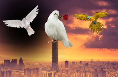 Información y opiniones sobre Café-Cervecería D'maria de Ponferrada