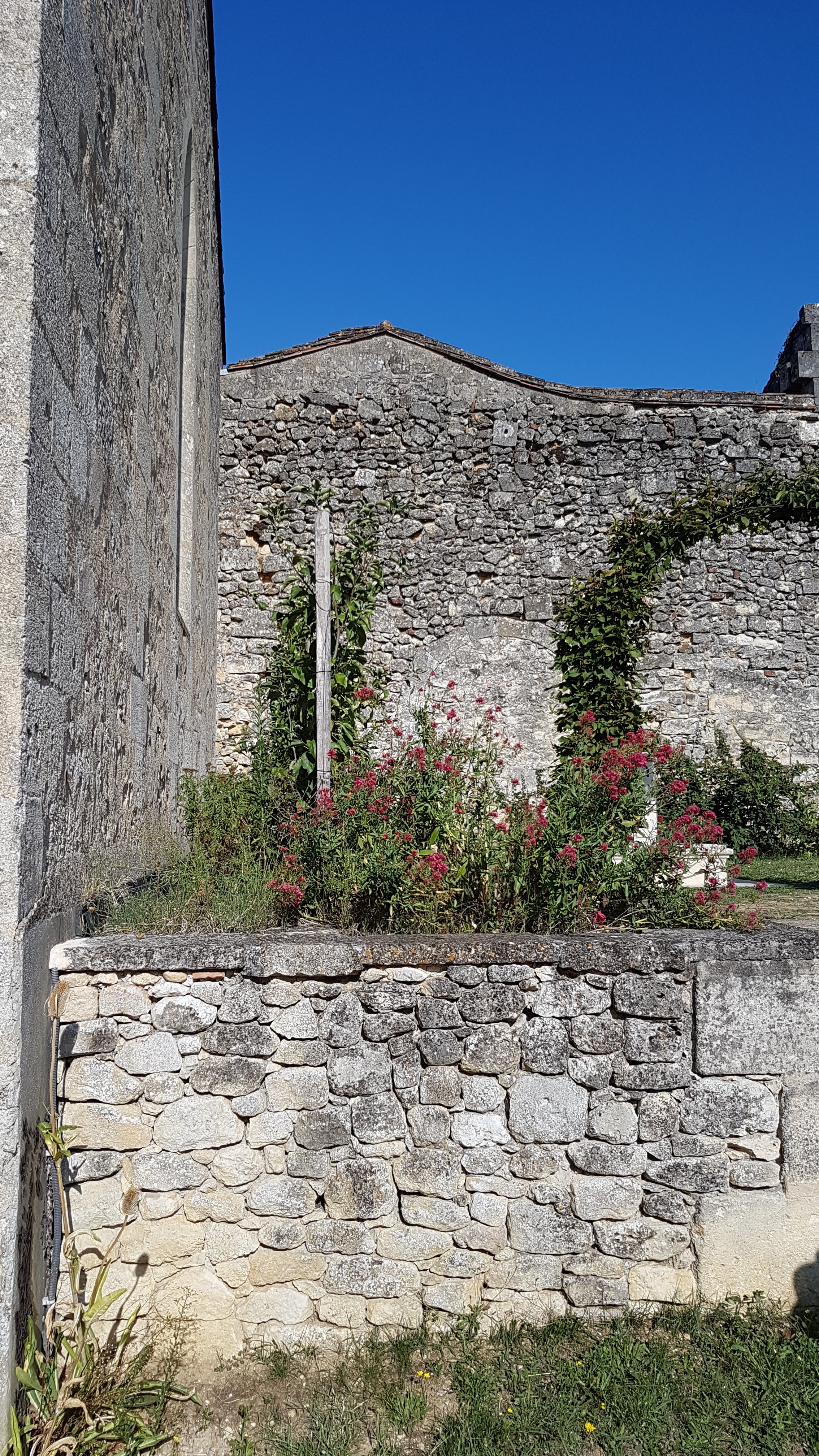 Photo n° 11 de l'avis de Gui.9 fait le 21/08/2019 à 07:36