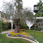 Photo n°3 de l'avis de Elisa.e fait le 06/05/2022 à 09:44 sur le  Tenuta San Martino à Legnago