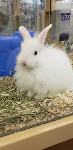 Pet Supply Store «Pet Supermarket», reviews and photos, 268 Grande Heights Dr, Cary, NC 27513, USA