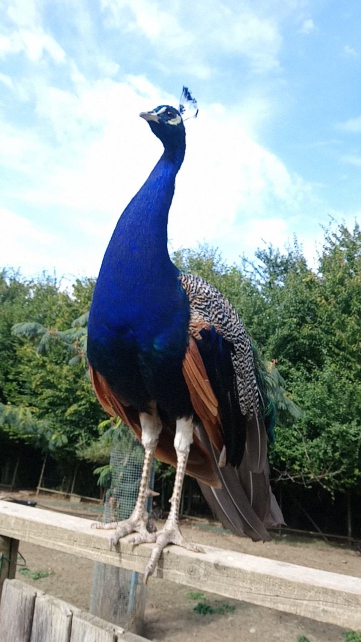 Photo n° 1 de l'avis de gwendo.a fait le 17/08/2018 à 16:06