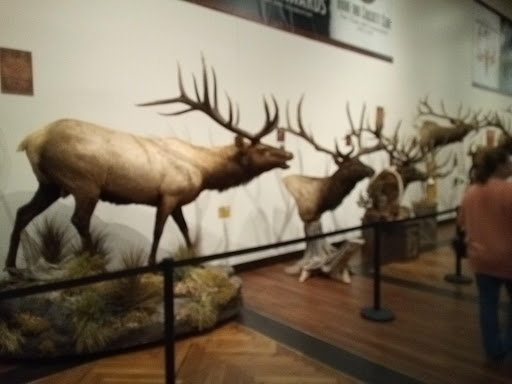 Sporting Goods Store «Bass Pro Shops Base Camp», reviews and photos, 2500 E Kearney St, Springfield, MO 65803, USA