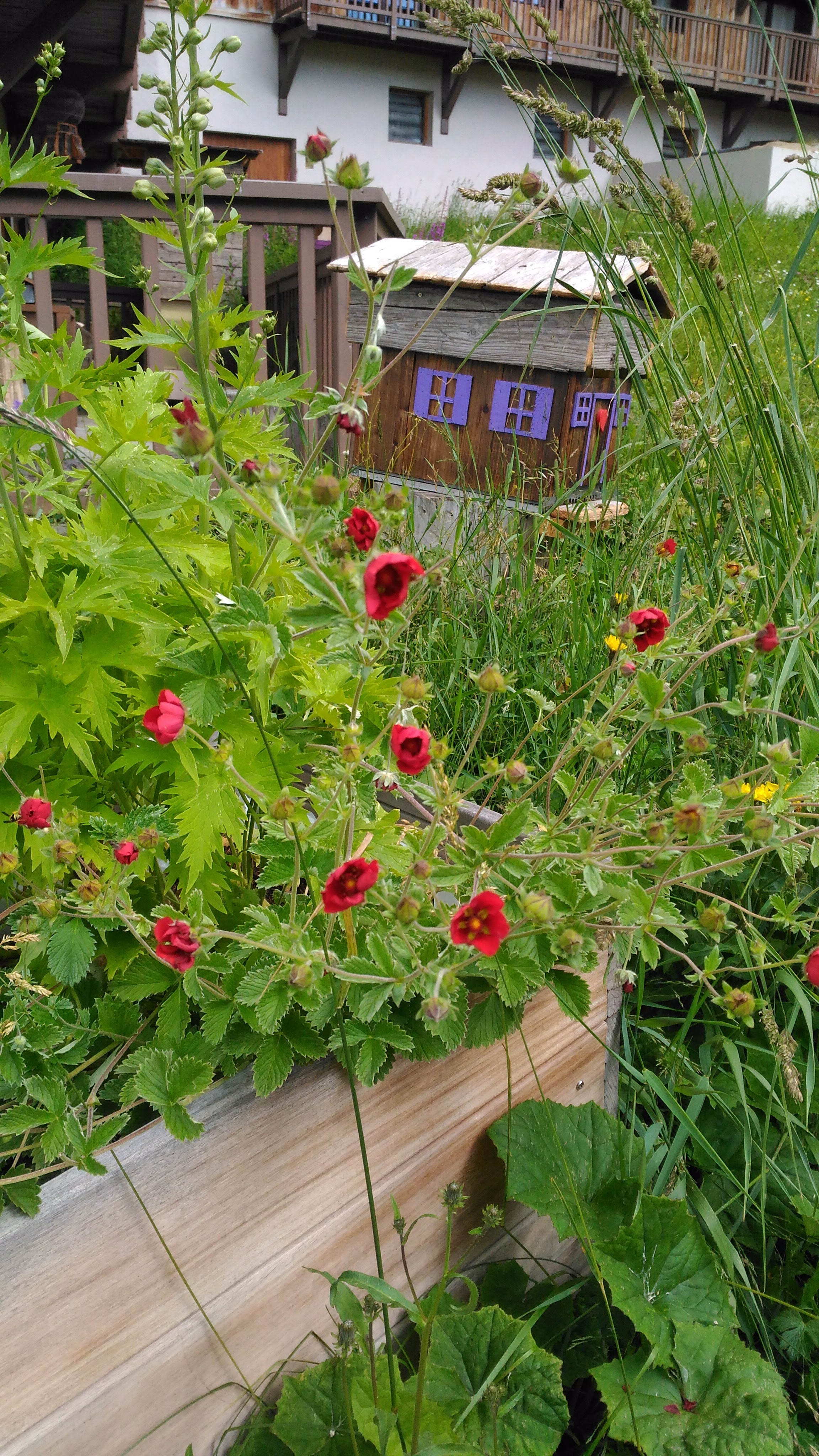 Photo n° 5 de l'avis de CHRIST. fait le 25/07/2018 à 18:05