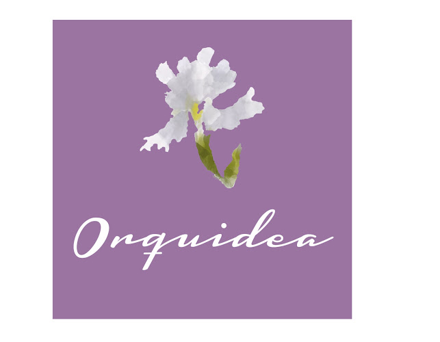 Comentarios y opiniones de Orquidea O