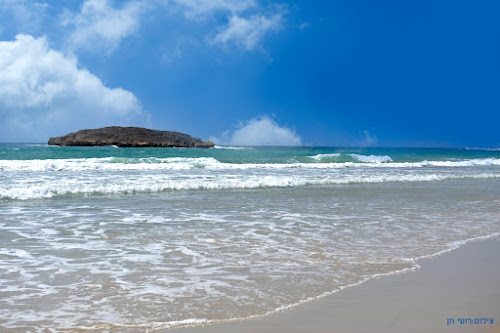 Nemo beach photo #2