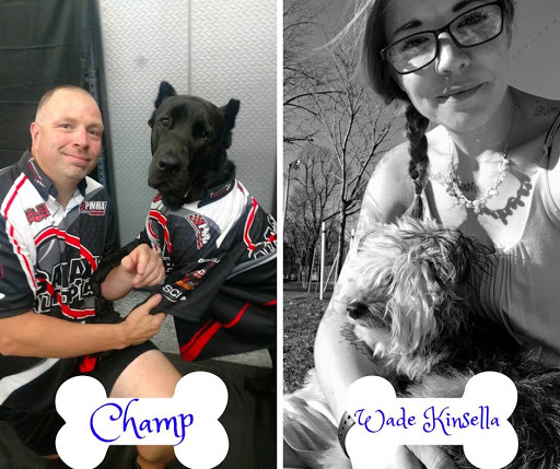 Used Car Dealer «Galaxy Auto Place», reviews and photos, 2338 Union Rd, West Seneca, NY 14224, USA