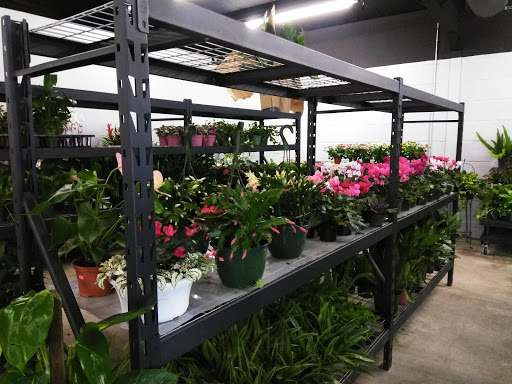 Florist «San Antonio Flower Co», reviews and photos, 7538 Broadway St, San Antonio, TX 78209, USA