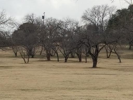 Park «Cottonwood Park», reviews and photos, 4051 N Story Rd, Irving, TX 75038, USA