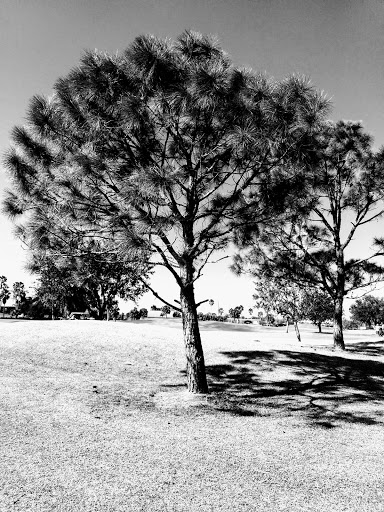 Golf Course «River Run Golf Links», reviews and photos, 1801 27th St E, Bradenton, FL 34208, USA